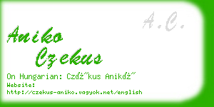 aniko czekus business card